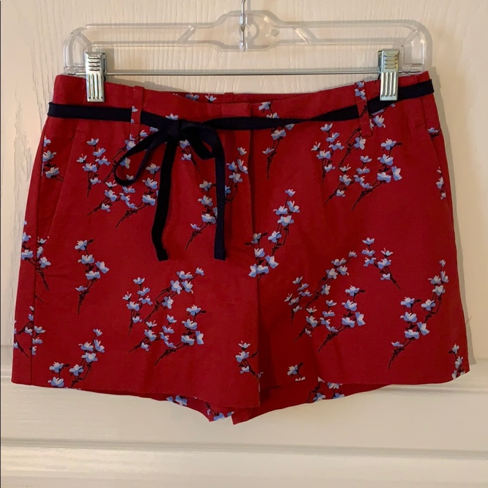 NEW LOFT shorts